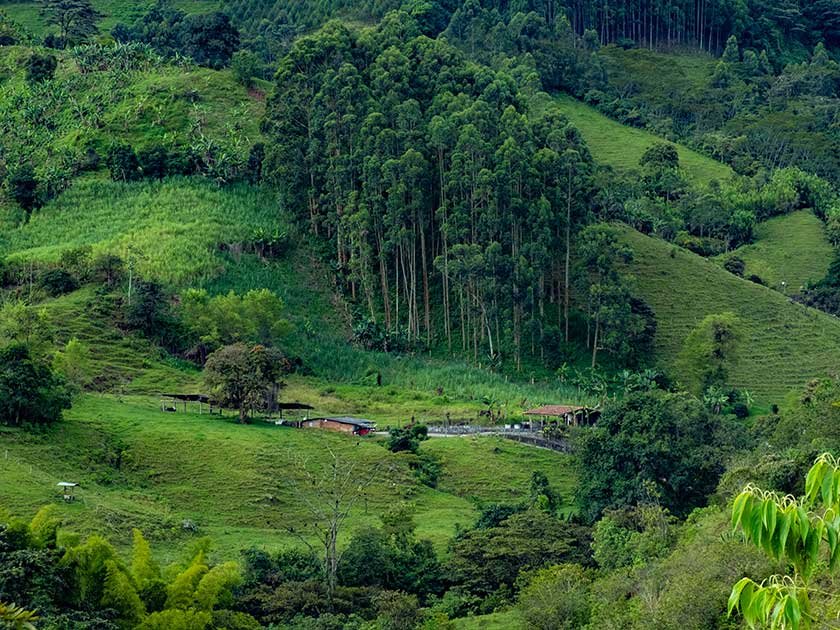 Solo Female Travel in Colombia