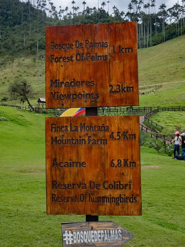 Hiking Cocora Valley alone