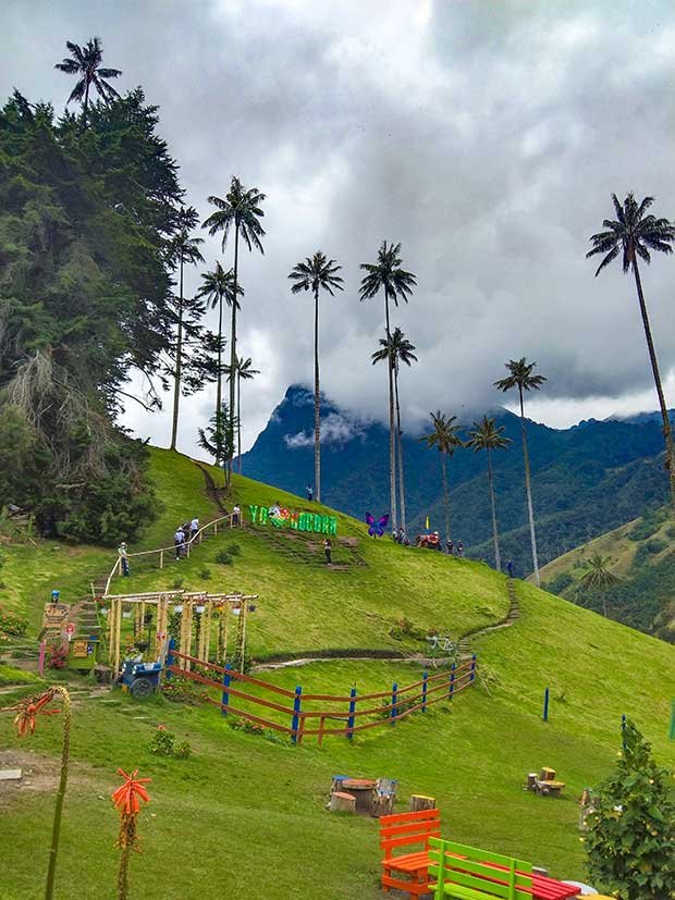 My Guide To Hiking Cocora Valley Solo (Is It Safe?)