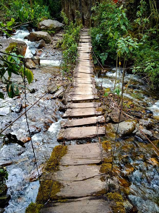 My Guide To Hiking Cocora Valley Solo 