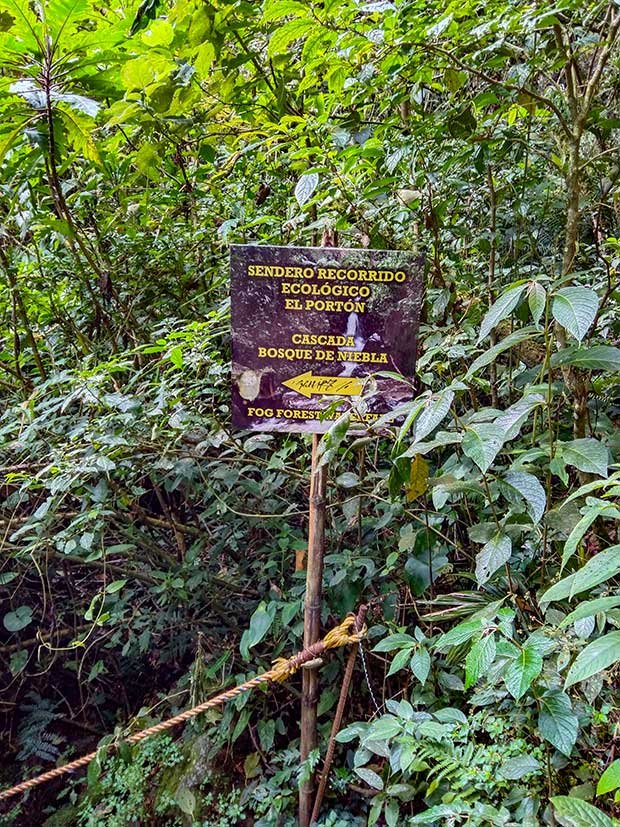 My Guide To Hiking Cocora Valley Solo 