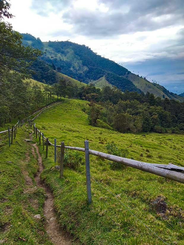 My Guide To Hiking Cocora Valley Solo 