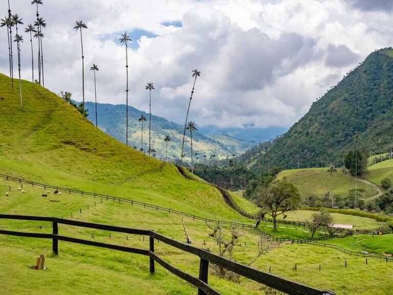 My Guide To Hiking Cocora Valley Solo (Is It Safe?)