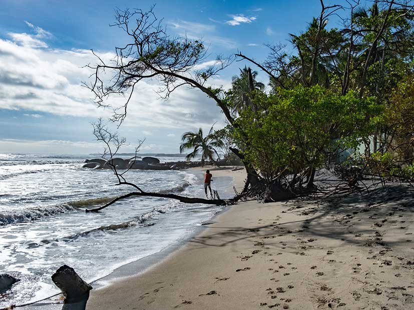 The Palomino Controversy. Is Palomino still worth visiting? Things to do in Palomino Colombia. 