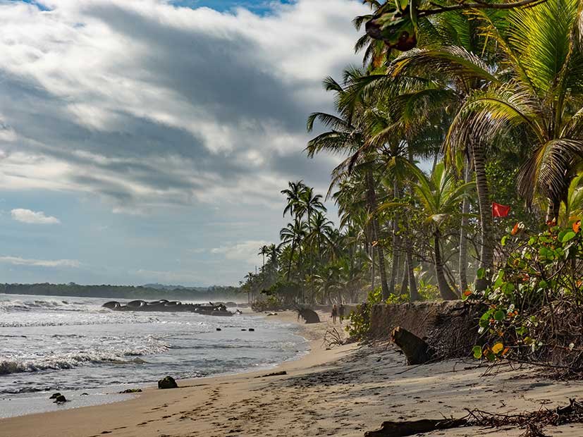 Things to do in Palomino Colombia.