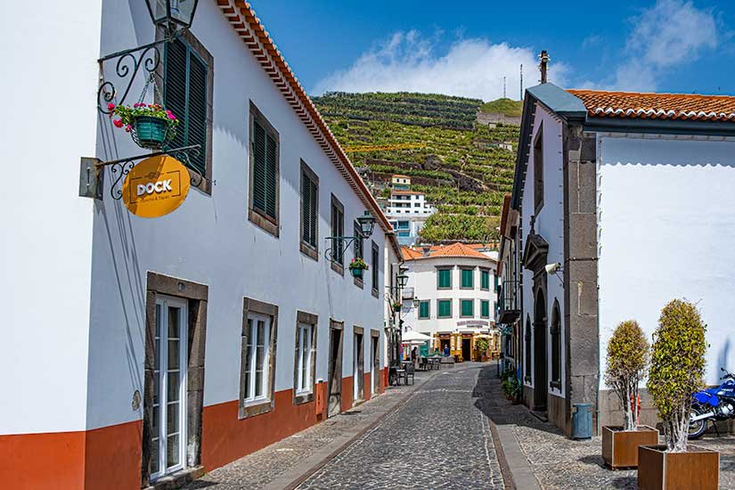 A Day Trip to Camara de Lobos from Funchal