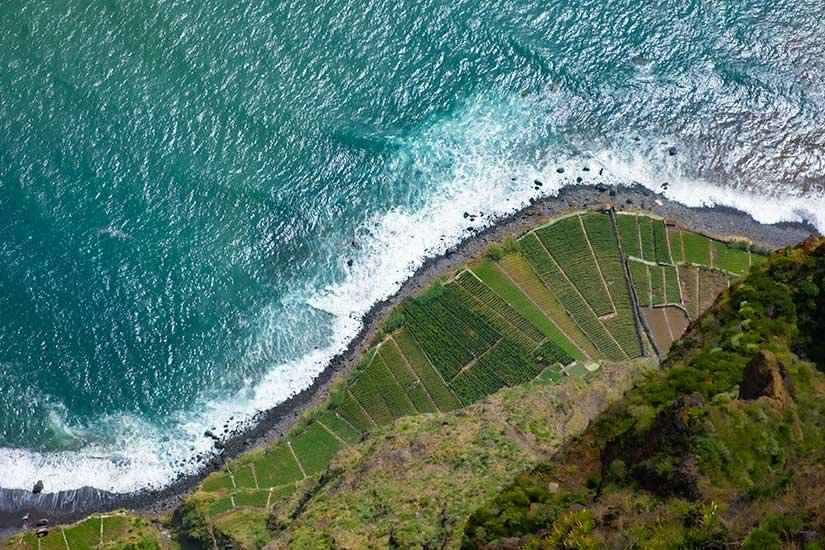 A Day Trip to Camara de Lobos and Cabo Girao from Funchal