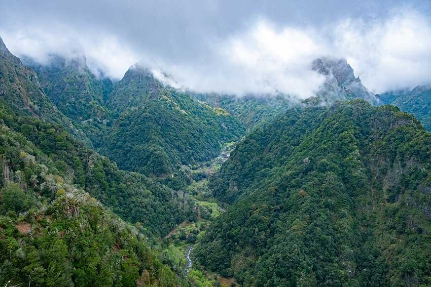 Best Hikes in Madeira You Can Reach Without a Car