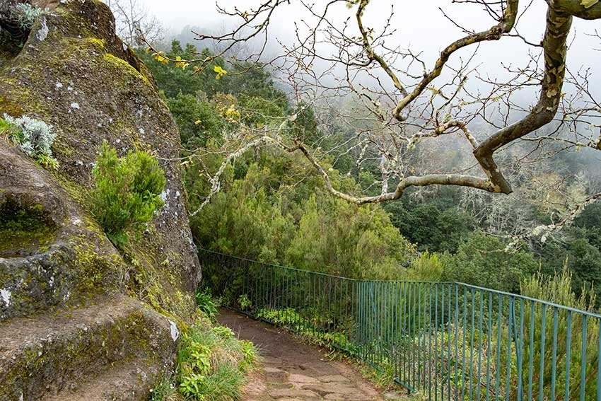 Best Hikes in Madeira You Can Reach Without a Car