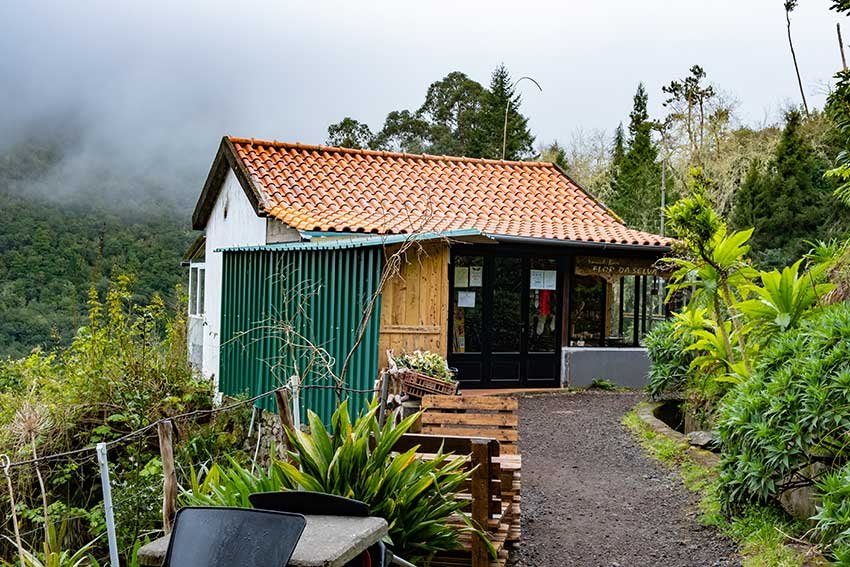 Best Hikes in Madeira You Can Reach Without a Car