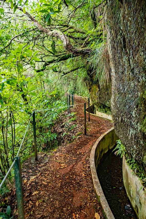 Best Hikes in Madeira You Can Reach Without a Car