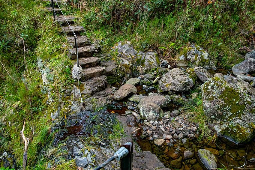 Best Hikes in Madeira You Can Reach Without a Car