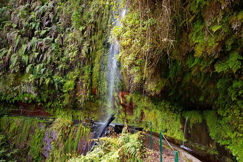 Best Hikes in Madeira You Can Reach Without a Car