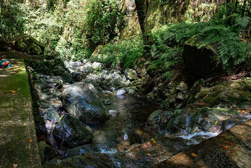 Best Hikes in Madeira You Can Reach Without a Car