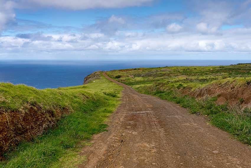 Hikes in Madeira you can do without the car
