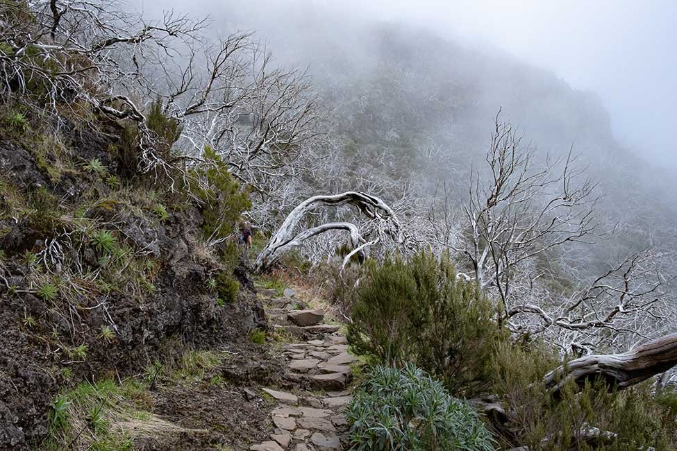 Hiking Pico Aireiro To Pico Ruivo in Madeira 
