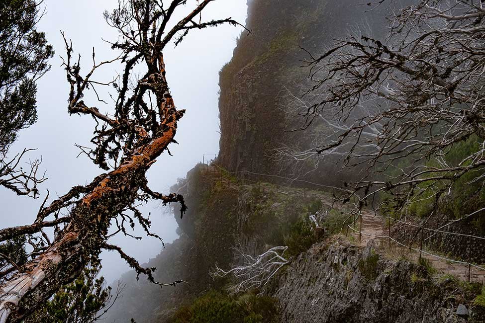 Hiking Pico Aireiro To Pico Ruivo in Madeira 