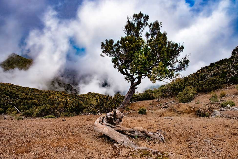 Hiking Pico Aireiro To Pico Ruivo in Madeira 
