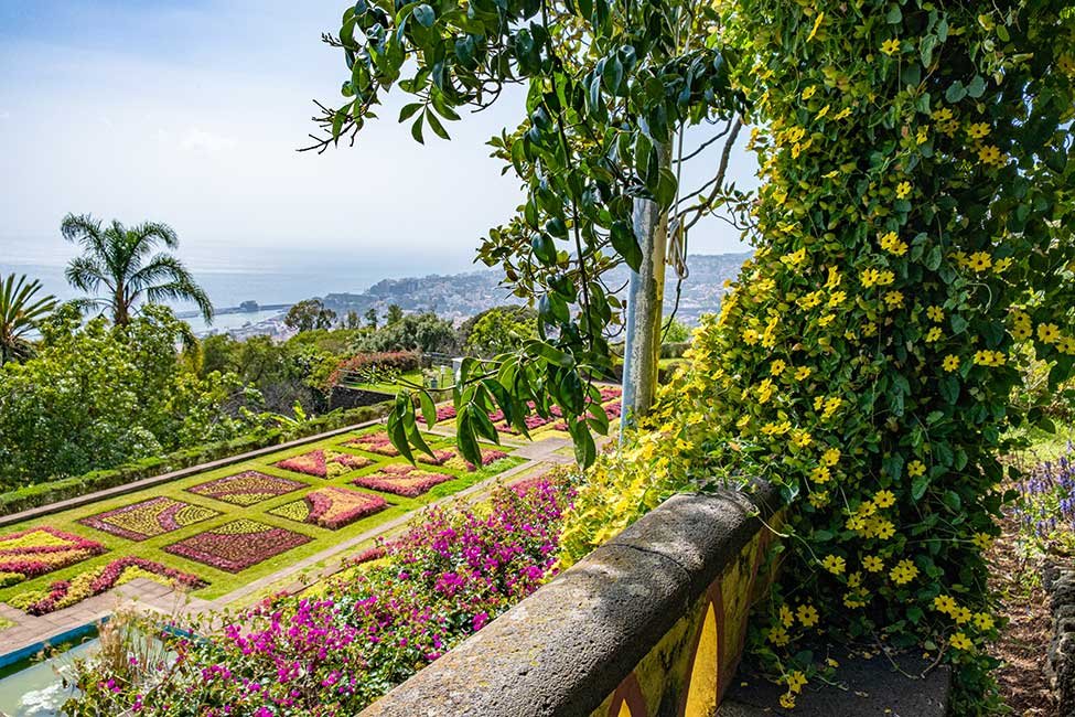 Funchal Solo Travel Guide, things to do in Funchal