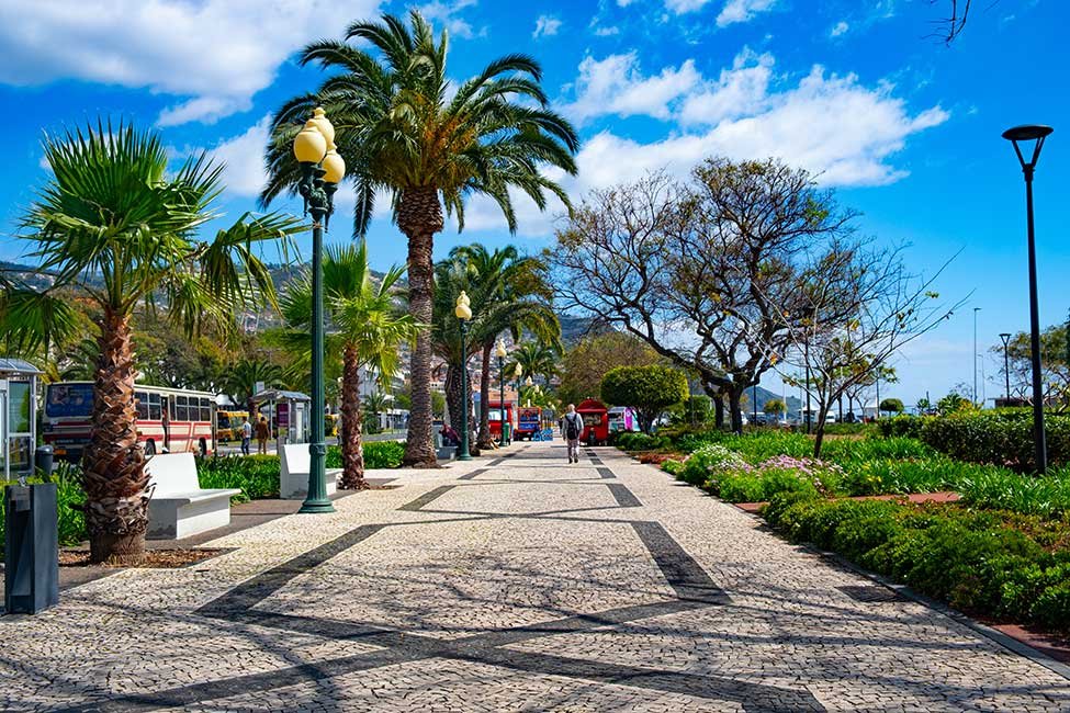 Funchal Solo Travel Guide, things to do in Funchal