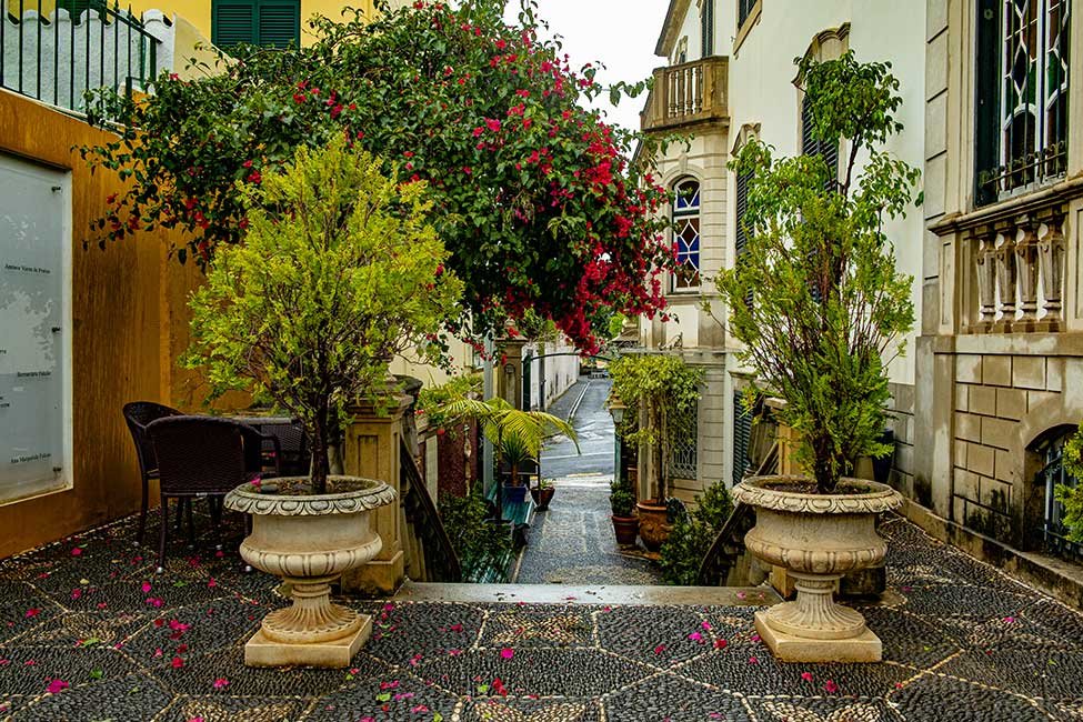 Funchal Solo Travel Guide, things to do in Funchal