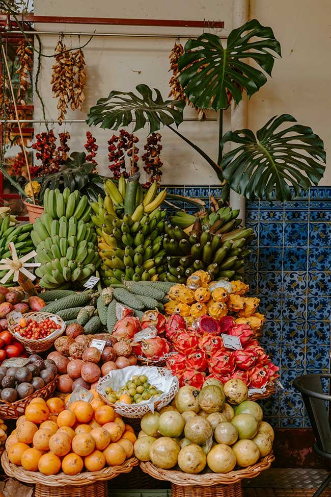 Funchal Solo Travel Guide, things to do in Funchal