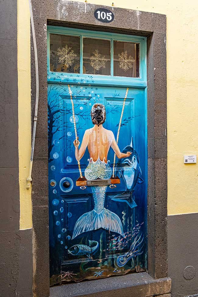 Madeira On a Budget And With NO Car