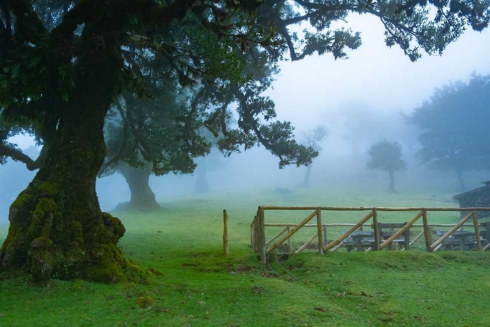 Solo Traveler’s Madeira Itinerary 