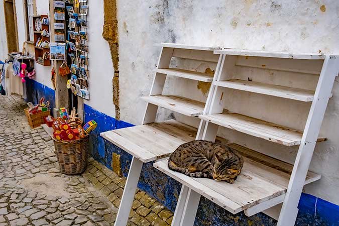 Things to do in Obidos 