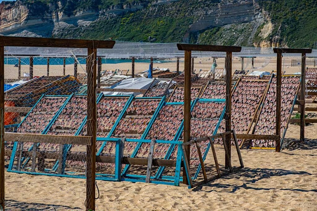 Things to do in Nazare Portugal