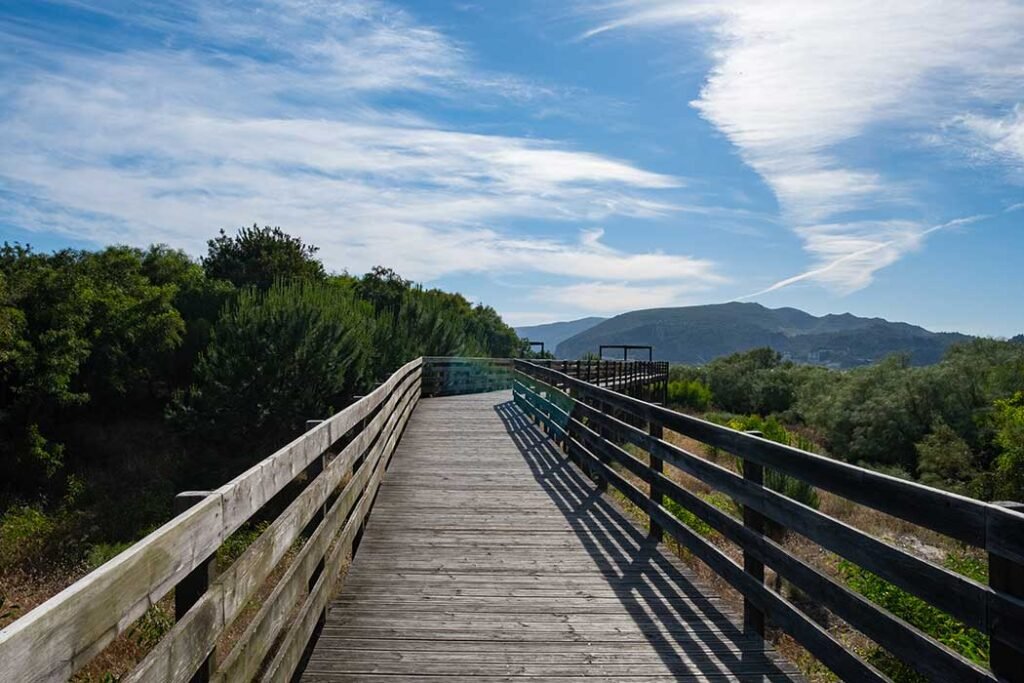 Things to do in Setubal and Troia Portugal