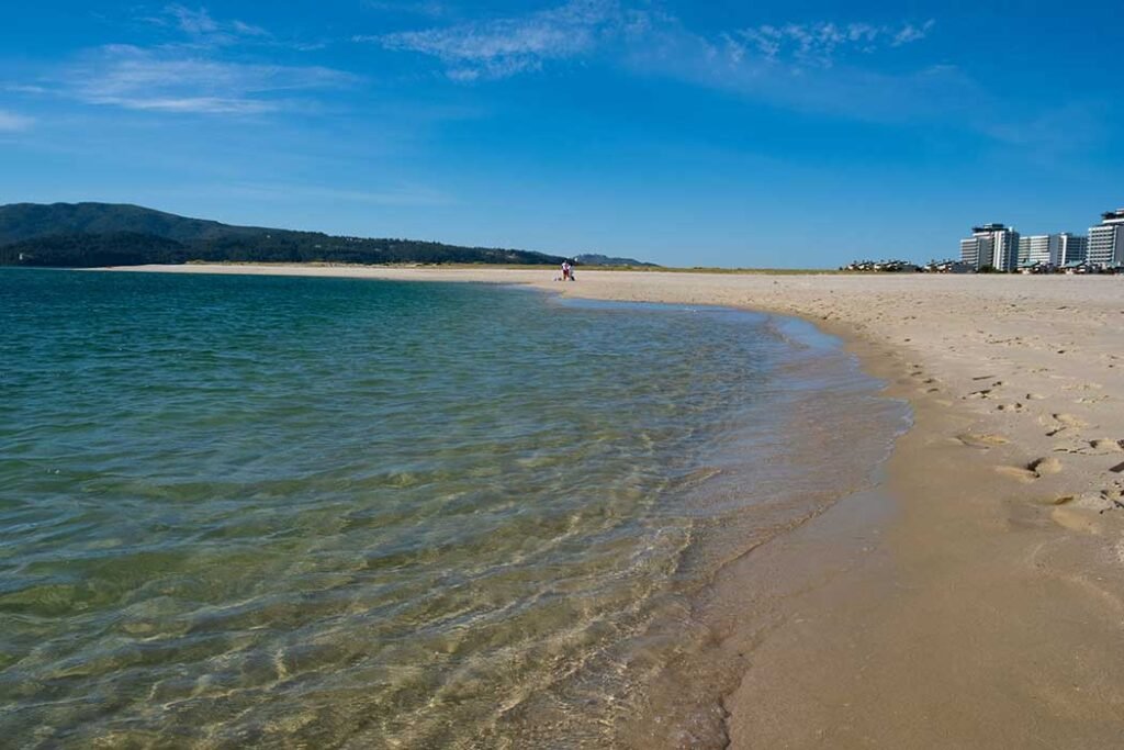 Things to do in Setubal and Troia Portugal